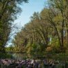 Blue Lake at Lewis and Clark State Park, Onawa, Iowa